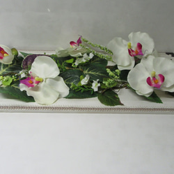 癒しのGREENに華やかな胡蝶蘭を添えて   sale 3800円が3000円 に 5枚目の画像