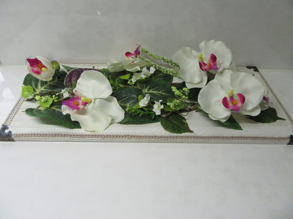 癒しのGREENに華やかな胡蝶蘭を添えて   sale 3800円が3000円 に 5枚目の画像