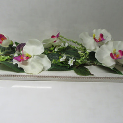 癒しのGREENに華やかな胡蝶蘭を添えて   sale 3800円が3000円 に 6枚目の画像