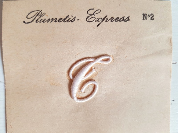 フランスアンティーク　Plumetis Express No.2 刺繍用モノグラム「T」 3枚目の画像