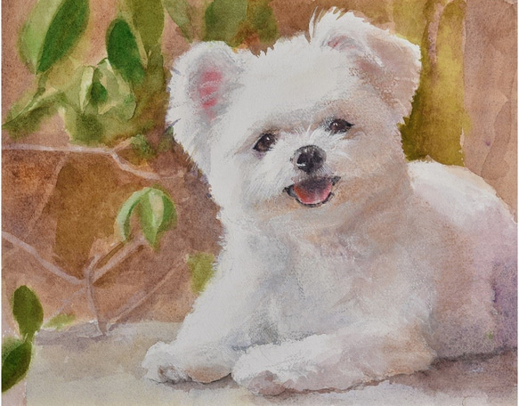白い犬（水彩+パステルon paper） 絵画 petpetart 通販 4142473