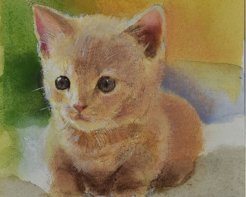 猫の水彩+パステル画[原画] 0_dd375fdaf665c01039920e1054c7