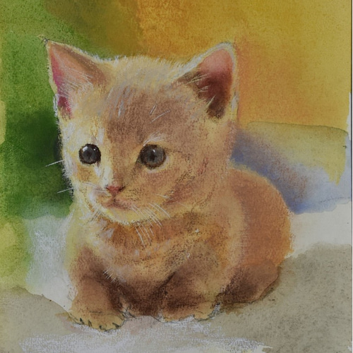 癒しの絵パステル画　水彩画　猫ちゃん 送料無料｜【複製画】「幸せの青い子猫ちゃん」 パステルアート
