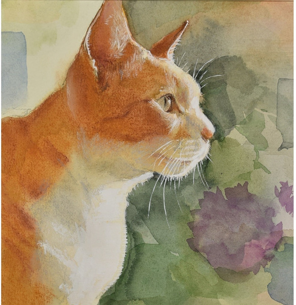 2024年冬【法人向けお歳暮】 癒しの絵パステル画 水彩画 猫