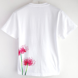 彼岸花柄Tシャツ ホワイト 手描きで描いた彼岸花柄Tシャツ 曼珠沙華 秋 白 3枚目の画像