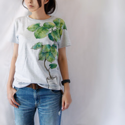 観葉植物 フィカス・ウンベラータ 手描きTシャツ 1枚目の画像