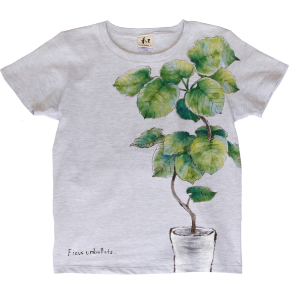 観葉植物 フィカス・ウンベラータ 手描きTシャツ 2枚目の画像