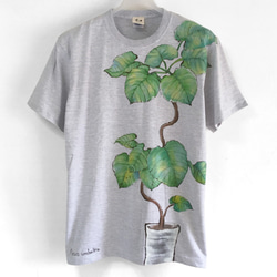 観葉植物 フィカス・ウンベラータ 手描きTシャツ 4枚目の画像