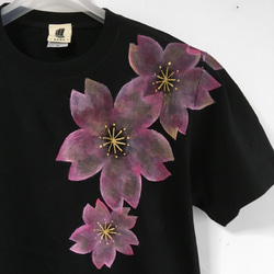 舞桜柄メンズ Tシャツ　ブラック×桜色　手描きで描いた和風の桜柄Tシャツ 4枚目の画像