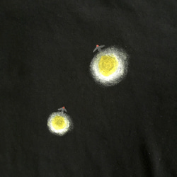 蛍柄Tシャツ、和風な蛍の光の手描きTシャツ ブラック ホタル ６月 8枚目の画像