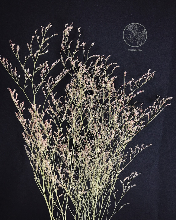淡紫卡斯比亞 卡斯比亞 乾燥花材 網拍背景 花藝佈置 居家裝飾 花藝設計 金魚草製花工作室 第2張的照片