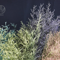 淡紫卡斯比亞 卡斯比亞 乾燥花材 網拍背景 花藝佈置 居家裝飾 花藝設計 金魚草製花工作室 第3張的照片