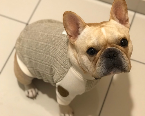 0_10e13d3c83e4d2acd95a86a334a2