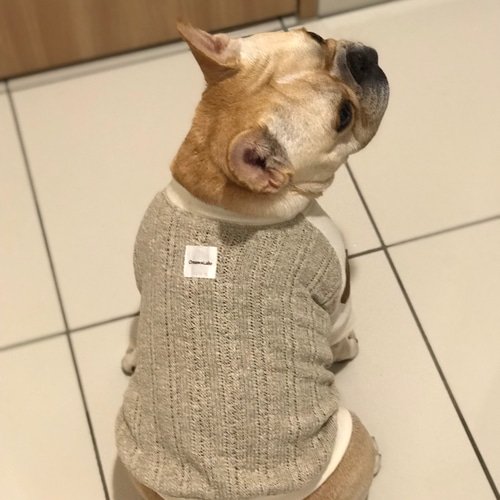 フレンチブルドッグ用〜ひじアップリケ付ニット(ベージュ)〜 ペット服