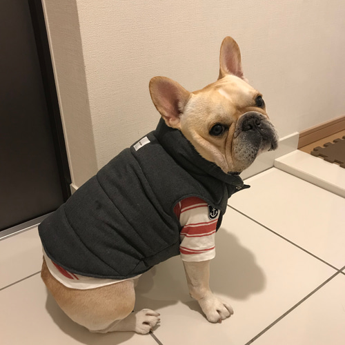 フレンチブルドッグ用〜ダウン風ベスト(グレー)〜 ペット服