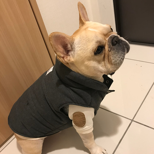 フレンチブルドッグ用〜ダウン風ベスト(グレー)〜 ペット服