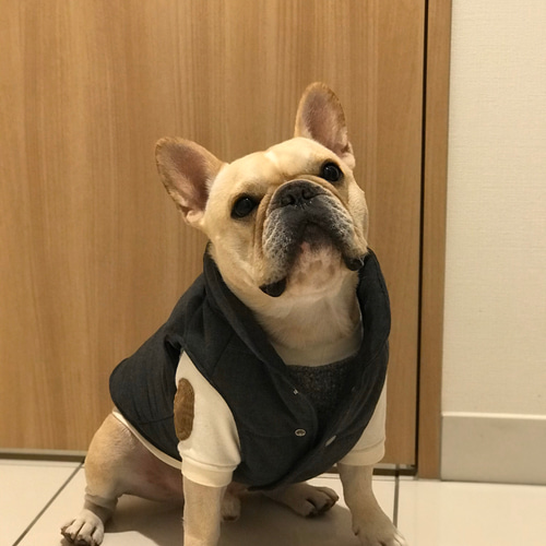 フレンチブルドッグ用〜ダウン風ベスト(グレー)〜 ペット服
