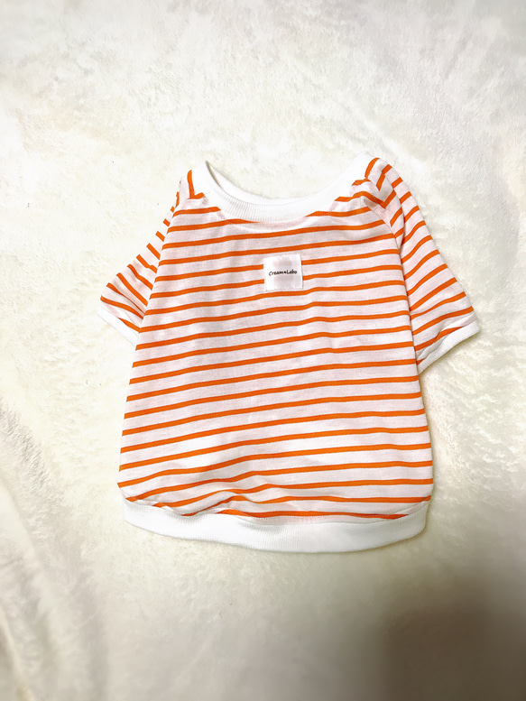 フレンチブルドッグ用〜薄手ボーダーTシャツ(オレンジ)〜 4枚目の画像