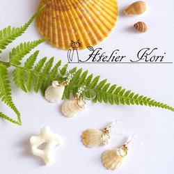 天然の貝で：小さな貝殻とパールビーズののイヤリング(ノンホールピアスタイプ) 1枚目の画像