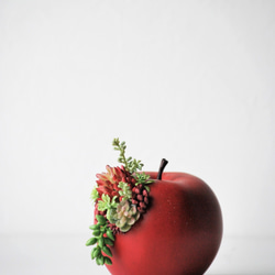 タニクアップル！？ 赤いリンゴと多肉植物　フェイクグリーン　アーティフィシャルフラワー 3枚目の画像