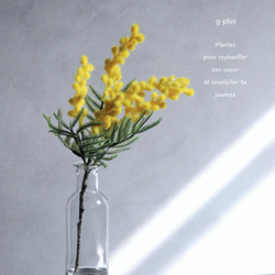 咲き続けるミモザ(シングル)　マジカルウォーター　癒しのフラワーインテリア　アーティフィシャルフラワー 1枚目の画像