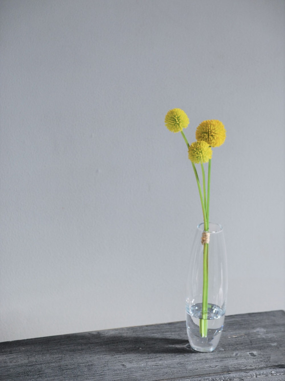 咲き続けるクラスペディア(ビリーボタン)　マジカルウォーター　癒しのフラワーインテリア　アーティフィシャルフラワー 2枚目の画像