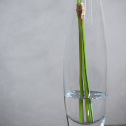 咲き続けるクラスペディア(ビリーボタン)　マジカルウォーター　癒しのフラワーインテリア　アーティフィシャルフラワー 5枚目の画像