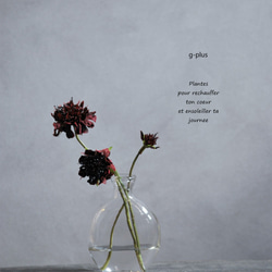 咲き続けるスカビオサ(バーガンディ)　マジカルウォーター　癒しのフラワーインテリア　アーティフィシャルフラワー 1枚目の画像