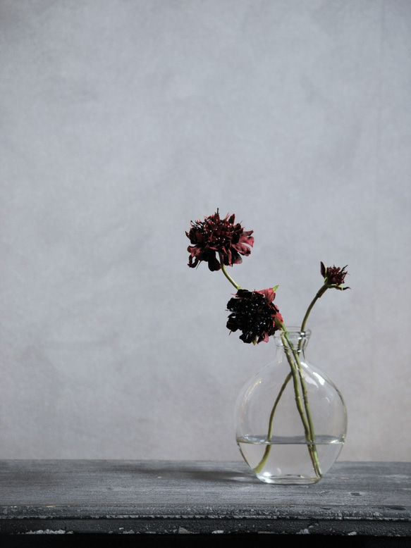 咲き続けるスカビオサ(バーガンディ)　マジカルウォーター　癒しのフラワーインテリア　アーティフィシャルフラワー 3枚目の画像
