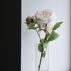 咲き続ける大輪ガーデンローズ(ベージュ)　マジカルウォーター　癒しのフラワーインテリア 5枚目の画像