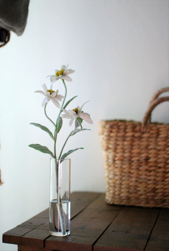 咲き続けるエーデルワイス　癒しのフラワーインテリア 2枚目の画像