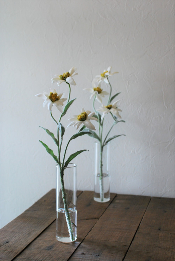 咲き続けるエーデルワイス　癒しのフラワーインテリア 3枚目の画像