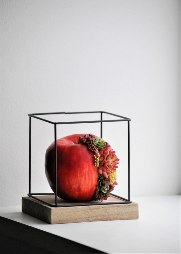 タニクアップル！？ 赤いリンゴと多肉植物　 2枚目の画像