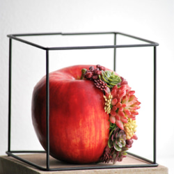 タニクアップル！？ 赤いリンゴと多肉植物　 3枚目の画像