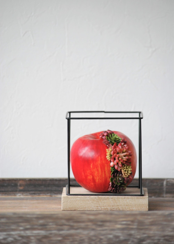 タニクアップル！？ 赤いリンゴと多肉植物　 4枚目の画像