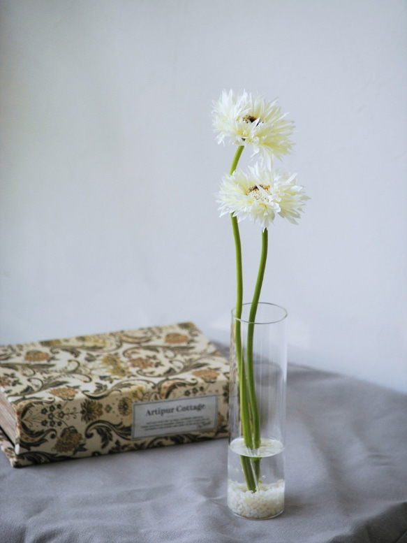 咲き続けるホワイトガーベラ　癒しのフラワーインテリア 2枚目の画像
