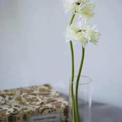 咲き続けるホワイトガーベラ　癒しのフラワーインテリア 3枚目の画像