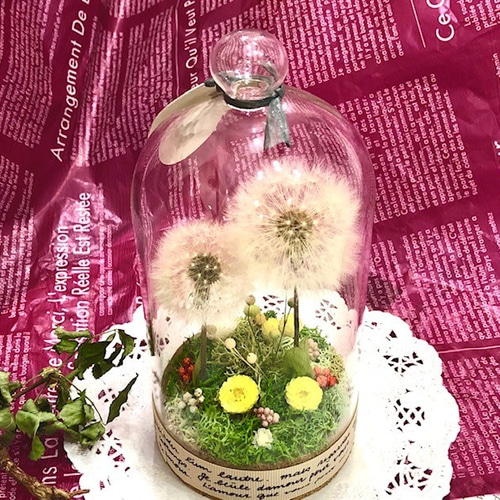 たんぽぽ綿毛ドライフラワー ガラスドーム ボトルフラワー 綿毛ドライフラワー✨ たんぽぽ綿毛 ドライフラワー ガラスドーム箱庭 ① ドライ