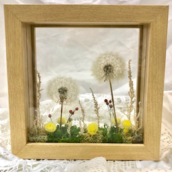 たんぽぽ綿毛 ドライフラワー ガラスドーム箱庭 ① ドライフラワー