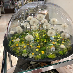 たんぽぽドライフラワー のおすすめ人気通販 検索結果｜Creema