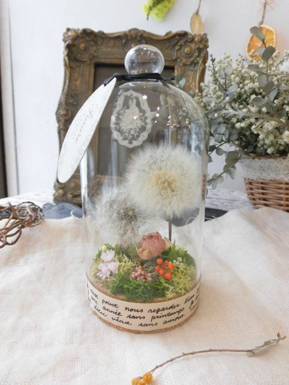 たんぽぽ綿毛 ドライフラワー ガラスドーム箱庭 B ドライ