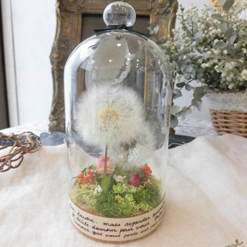 たんぽぽ綿毛ドライフラワー ガラスドーム ボトルフラワー 綿毛ドライフラワー✨ たんぽぽ綿毛 ドライフラワー RPガラスドーム箱庭 RB | PURARESELECT