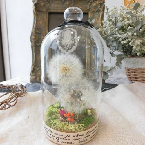 たんぽぽ綿毛ドライフラワー ガラスドーム ボトルフラワー 綿毛ドライフラワー✨ 厳選ஐ 大きなたんぽぽ綿毛のフラワーボトル】ボトルフラワー