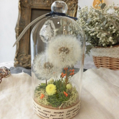 たんぽぽ綿毛 ドライフラワー ガラスドーム箱庭 D ドライフラワー