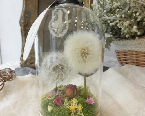 たんぽぽ綿毛ドライフラワー ガラスドーム ボトルフラワー 綿毛ドライフラワー✨ たんぽぽ綿毛 ドライフラワー RPガラスドーム箱庭 RB