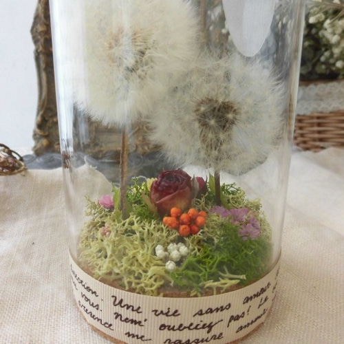 たんぽぽ綿毛ドライフラワー ガラスドーム ボトルフラワー 綿毛ドライフラワー✨ たんぽぽ綿毛 ドライフラワー RPガラスドーム箱庭 RB