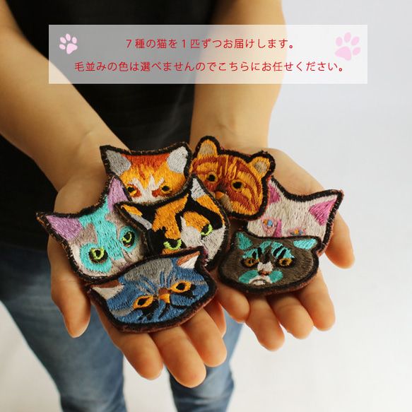 *ラスト1点！●2019夏夏SALE●飼い主募集！7種7匹セット  ねこの刺繍ブローチ　裏面牛革レザー 回転ピン E20 8枚目の画像