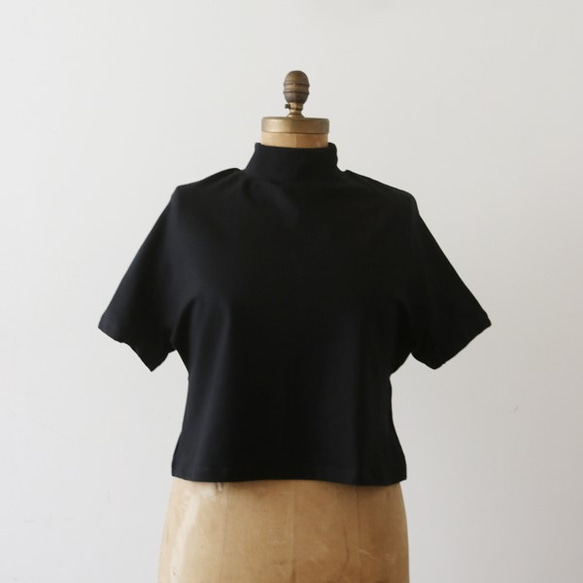 〈写真要確認〉しっとり厚地Tシャツ・カットソー素材ハイネック・ボトルネック Tシャツ半袖 黒 H12B 2枚目の画像