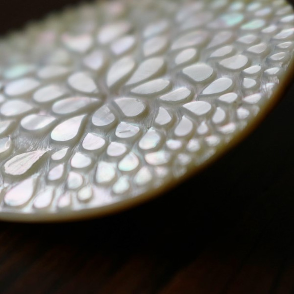 **新作●ラスト１点　天然貝で作る anvai オリジナル シェル ブローチ 小物 雑貨 インテリア S51C 6枚目の画像