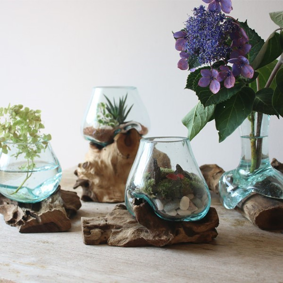 ●Creema限定 送料無料●夏夏SALE●anvaiセレクト流木とBALIガラスのオブジェ花瓶アクアリウムS59H 5枚目の画像